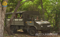 Jungle Crossing, Mexican Caribbean