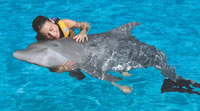 Nado con Delfines en Cozumel, Caribe Mexicano