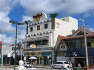 Nado con Delfines en Cozumel, Caribe Mexicano