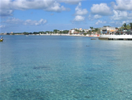 Nado con Delfines en Cozumel, Caribe Mexicano