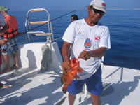 Cancun Fishing, Mexican Caribbean