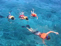 Snorkeling Cancun, Mexican Caribbean