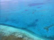 Tour de Buceo Costa Maya, Costa Maya