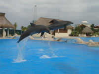 Aqua World Cozumel, Mexican Caribbean