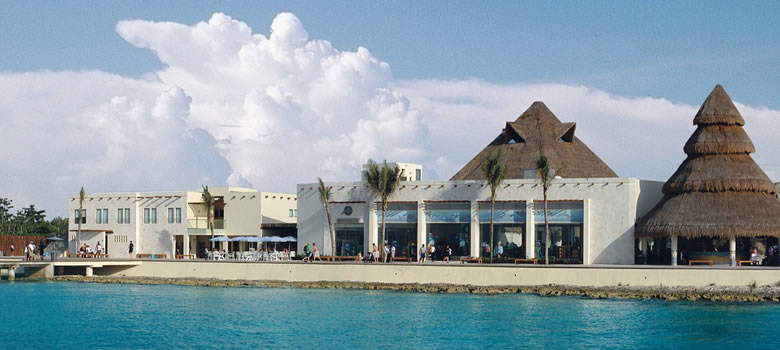 Nado Con Delfines en Cozumel, Caribe Mexicano