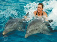 Dolphin Discovery Cozumel, Mexican Caribbean