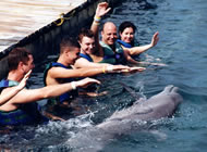 Dolphin Discovery Cozumel, Mexican Caribbean