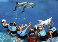 Dolphin Discovery Cozumel, Mexican Caribbean