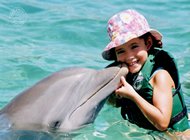 Dolphin Discovery Cozumel, Mexican Caribbean