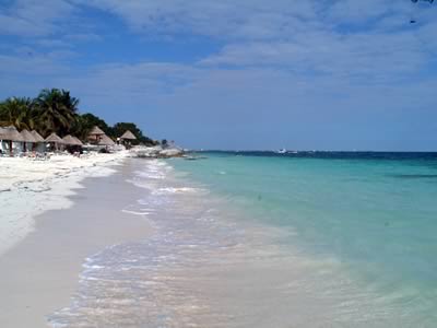 Celuisma Maya Caribe, Hoteles en Cancun