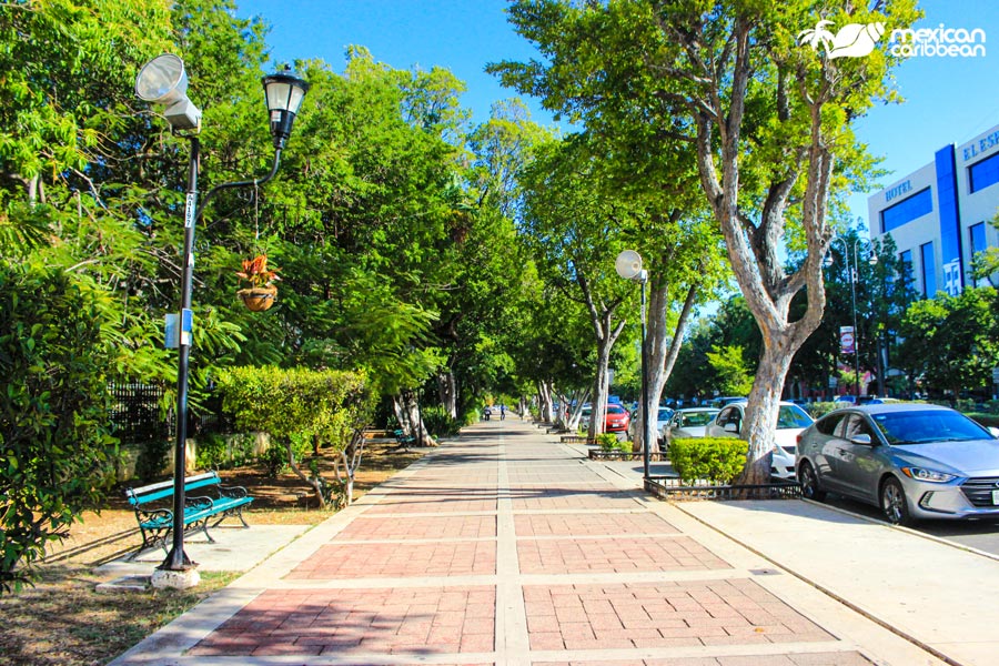 Paseo de Montejo