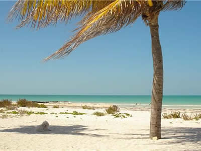 Casa Cereza, Hoteles Pequeños en Holbox