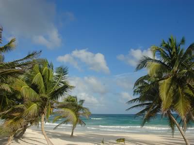 Cabañas Tulum, Hoteles Pequeños en Tulum