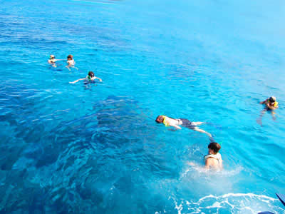 Cozumel Tour, Buy Tickets Cozumel Tour, Tours Cancun Riviera Maya