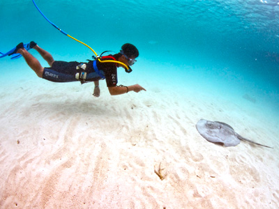 Tour Tulum y Xel-Ha Todo Incluido