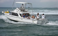 Yacht Puffin 31, Cancun Fishing Yachts for Rent