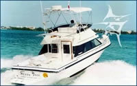 Yacht Reel Magic, Cancun Fishing Yachts for Rent 