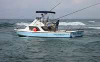 Yacht Reelscreamer 31, Cancun Fishing Yachts for Rent