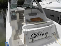 Yacht Sea Ray 31 - Diva, Luxury Yacht for Rent