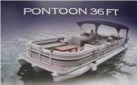 La Pachanga - Pontoon 36, Yacht for Groups